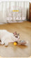 Interactive Electric Cat Ball – Self-Moving Toy for Active Kittens