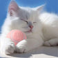 Interactive Fetch Dog Ball Smart Sensor Technology 360 Degree Scrolling Dog Toy Ball Fetch Dog Ball For Pet Dog Puppy Cat