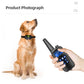 Rechargeable Anti-Bark Collar – Shock, Vibration & Clicker Trainer