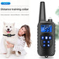 Rechargeable Anti-Bark Collar – Shock, Vibration & Clicker Trainer